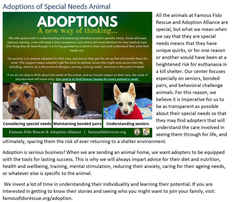 Famous Fido Rescue – Advocacy, Wellness & Learning Center