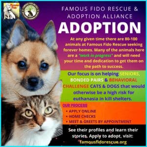 Famous Fido Rescue – Advocacy, Wellness & Learning Center