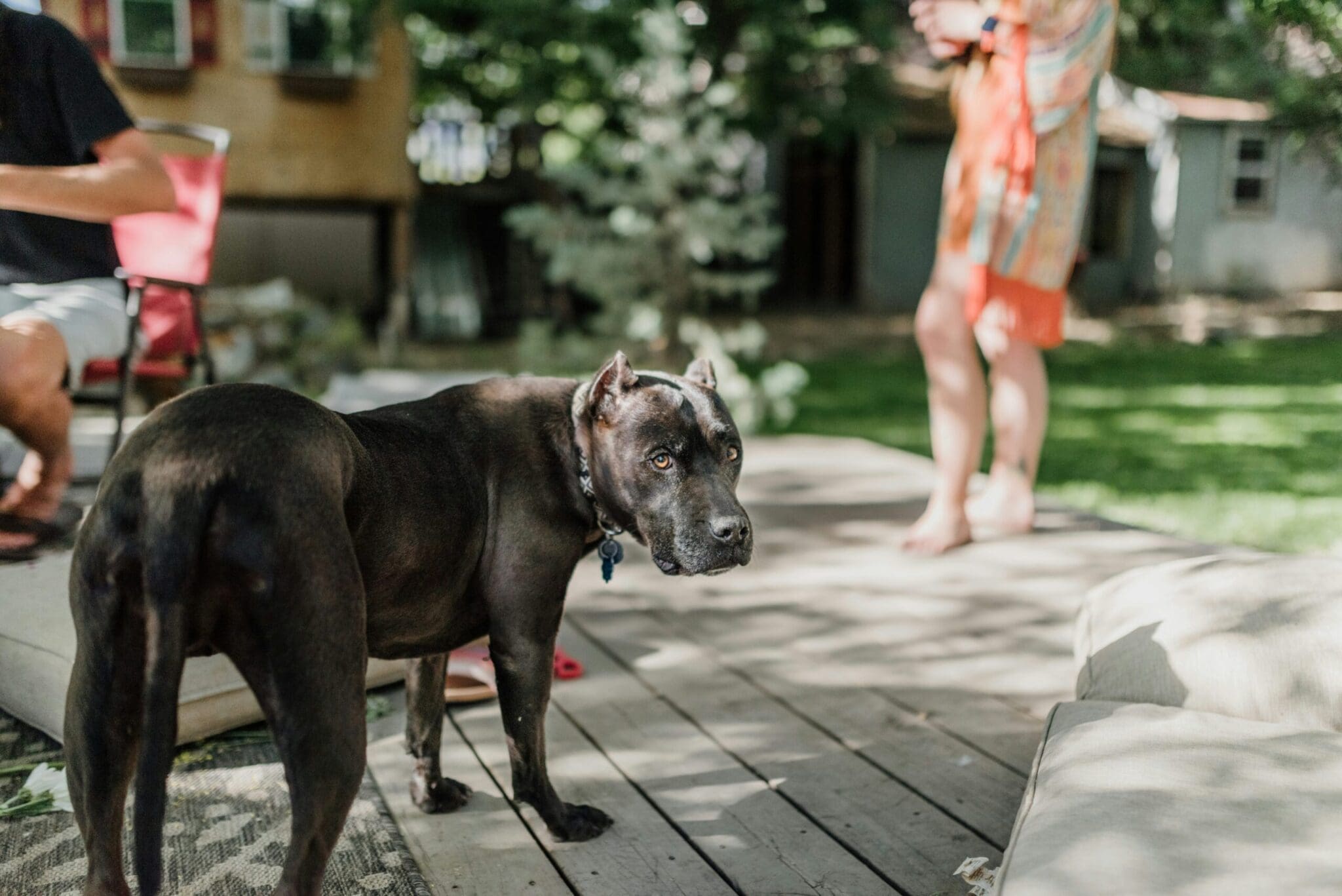 sandra-seitamaa-IZk7y3juBpY-unsplash