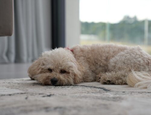 Imagine How It Feels